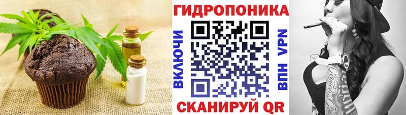 купить наркотики цена  Скопин  сайты даркнета клад  Печенье с ТГК марихуана 