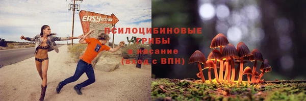 амф Абаза
